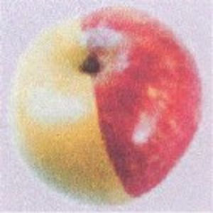BBB-Series: 'Mutations' (CD 3 EN)