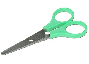 Schaar